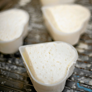 Big cheeses: